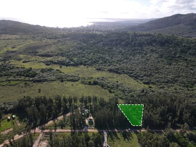 TERRENO PUNTA COLORADA MALDONADO  TE502156