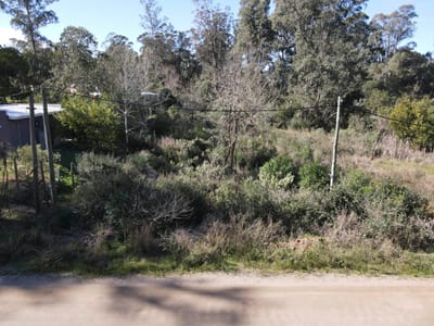 TERRENO PUNTA COLORADA MALDONADO  TE503000