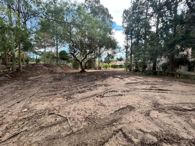 TERRENO LOS ANGELES MALDONADO  TE503053