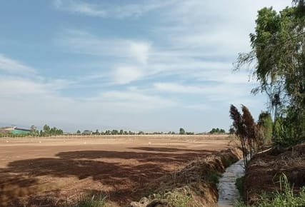 Terreno en Condominio de Campo San Luis - Cañete - Lima