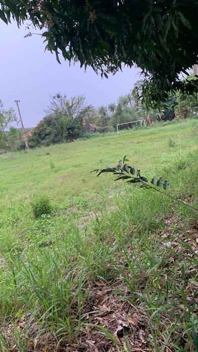 VENDO TERRENO DE 3692 m2 EN SEGUNDO BARRIO -LUQUE