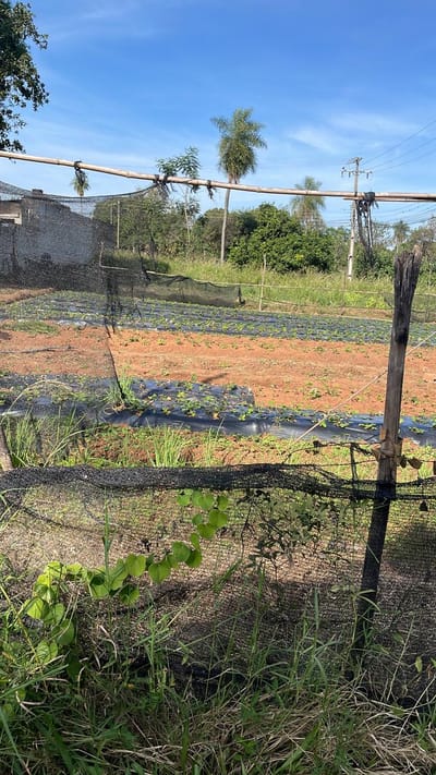 VENDO 2 TERRENOS en AREGUA! Zona Estación TERRENA 