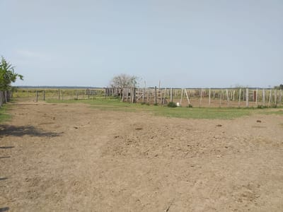 VENDO HECTAREAS EN SAN JOSE OBRERO A POCO KM DE ASUNCION