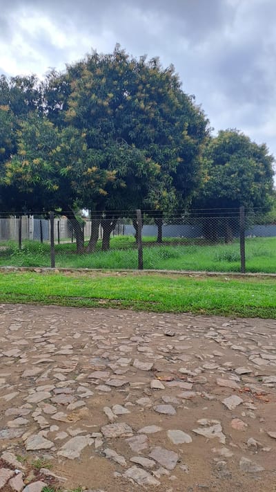 VENDO TERRENOS ZONA LA PIEDAD‼️juntos o separados