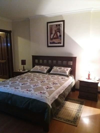 HERMOSO DEPTO DE 1 DORMITORIO EN HOTEL CASABLANCA