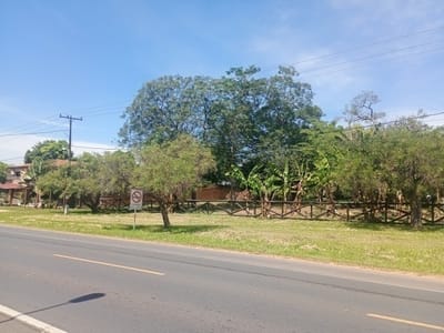 VENDO TERRENO DE 2280M2 SOBRE RUTA EN AREGUA PATIÑO