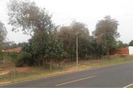 Terreno en Venta-Guillermo Neumann, Isla Alta, Emboscada, Cordillera