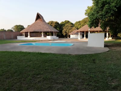 QUINTA DARDO