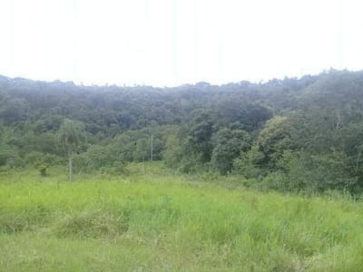 VENDO 41 HA EN PUERTO IRALA