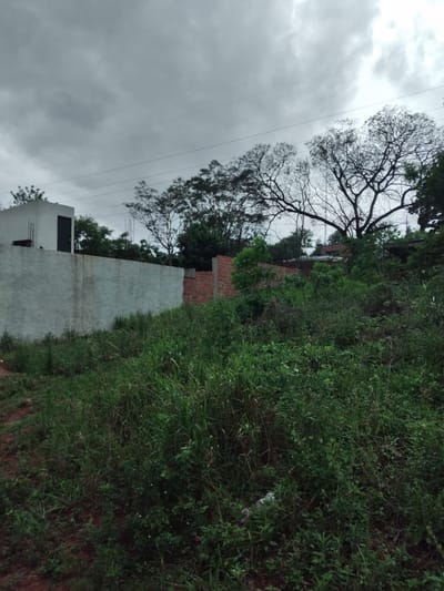 TERRENO EN VENTA EN VILLA ELISA