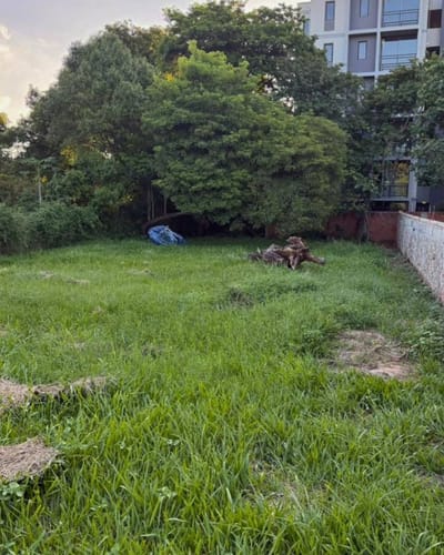 TERRENO EN VENTA EN LUQUE