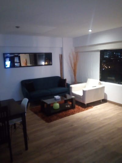 MIRAFLORES GRAN ESTUDIO AMOBLADO AVENIDA PARDO CENTRICO