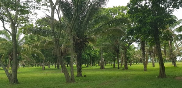 TERRENO EN VENTA EN URBANIZACIÓN CERRADA 