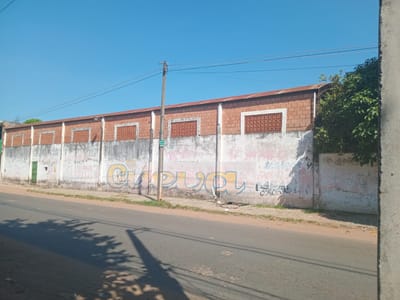ALQUILO TINGLADO EN SAN LORENZO 