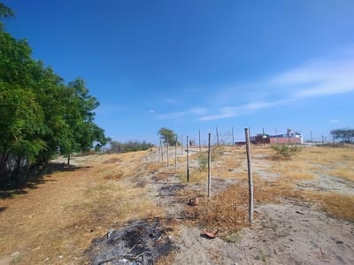 Venta De Terreno - La Mariposa - Zona Alta No Inundable