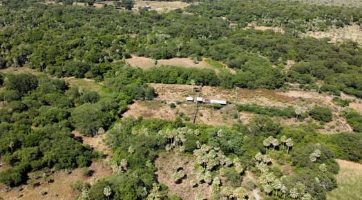  ESTANCIA GANADERA EN VENTA BENJAMÍN ACEVAL, CHACO PARAGUAYO