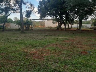 VENDO TERRENO DE 1 HECTÁREA EN LUQUE BARRIO PRIMAVERA