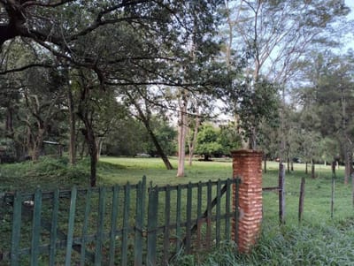 Terreno 12.404 m² en Barrio Primavera | Luque