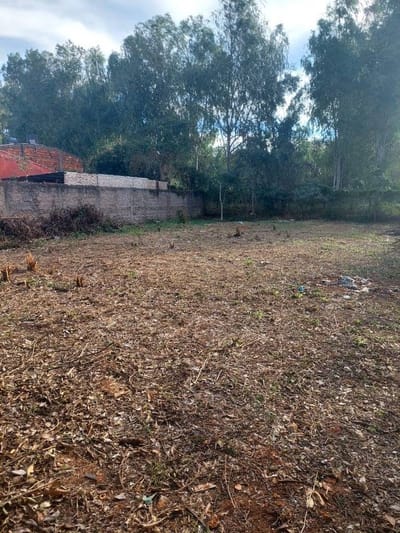 VENDO 3 LOTES JUNTOS EN SAN LORENZO