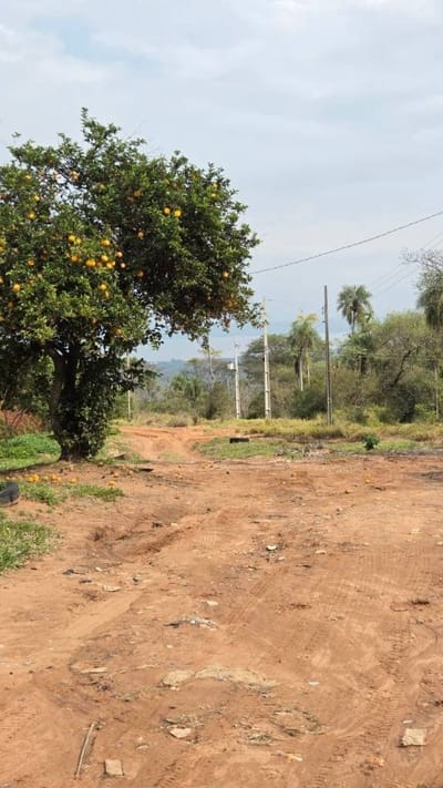 VENDO TERRENO EN SAN BERNARDINO