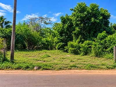 VENDO TERRENO EN CURUGUATY SOBRE ASFALTO