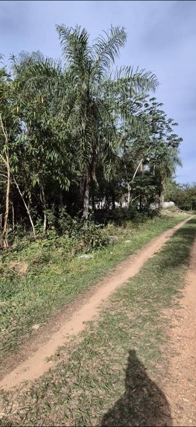 Venta de Terreno en San Bernardino, Cordillera
