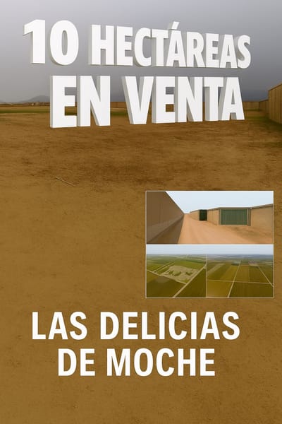Terreno 10 Hectáreas  Ubicación; Delicias Moche 
