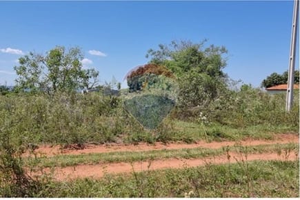 TERRENO EN VENTA, LUQUE