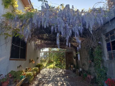 Excelente Casa En La Paz Zona Céntrica