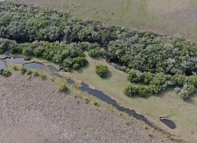 Venta De Chacra Con 46 Hectáreas De Campo En El Departament