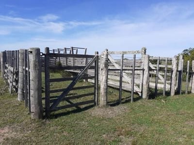 Venta De 60 Hectáreas Por Ruta 13 Paraje El Maturrango Roch