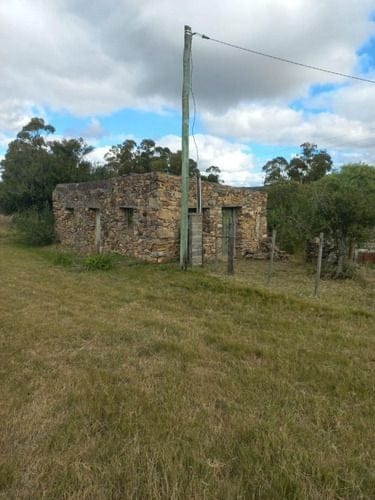 Venta De 17,5 Hectáreas De Campo  En Ruta 12  Pueblo Edén