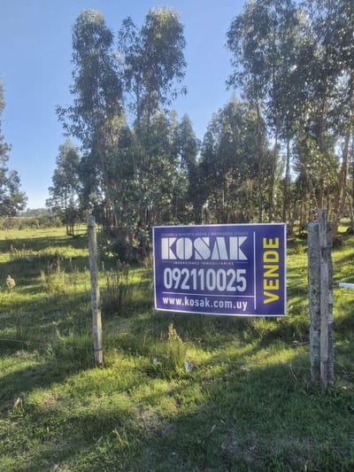 Chacra en venta 5hectareas Camino Eurquiza