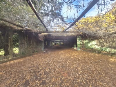 VENTA CHACRA/12ha Los Caracoles/Maldonado