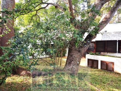 Kosak Punta del Este Imperdible!! HOY Oportunidad  Venta casa Lugano 3/4dorm barboca Jardines
