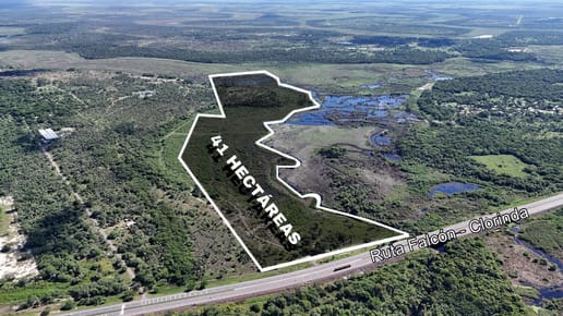 EN VENTA TERRENO DE 41 HECTAREAS EN CHACO'I