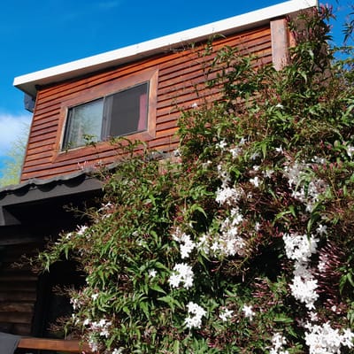 Casa de campo en madera curada,techo isopanel,buena aislacion
