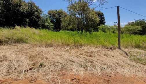 Vendo Terreno Alado Al Poder Judicial Km 8 Monday Cde Por: 400 Millones