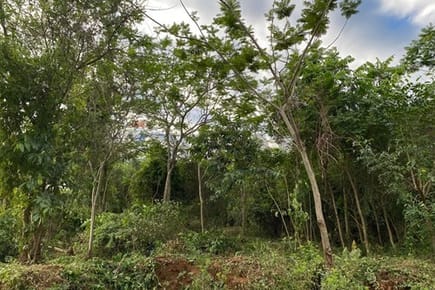 Terreno-Venta-PY Cordillera Emboscada