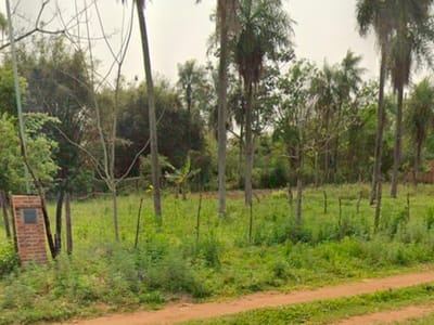 TERRENO EN VENTA YPANE