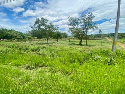 Terreno en venta sobre Ruta PY03 Arroyos y Esteros.