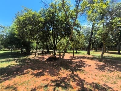 EN VENTA – Hermosa quinta en Guarambaré