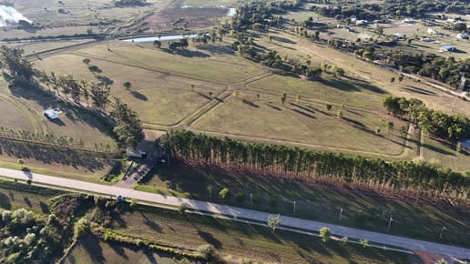 Venta De 5 Lotes En Los Pinos, Colonia Benítez