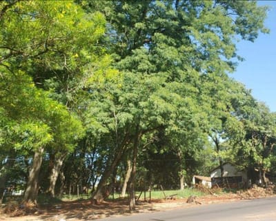 Vendo TERRENO en SAN LORENZO, excelentes dimensiones!