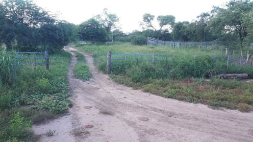 EN VENTA CAMPO DESARROLLADO  CAMPO PRODUCTIVO CON PASTURA PARA USO INMEDIATO.