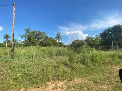 VENDO TERRENO EN LA CIUDAD DE ALTOS 