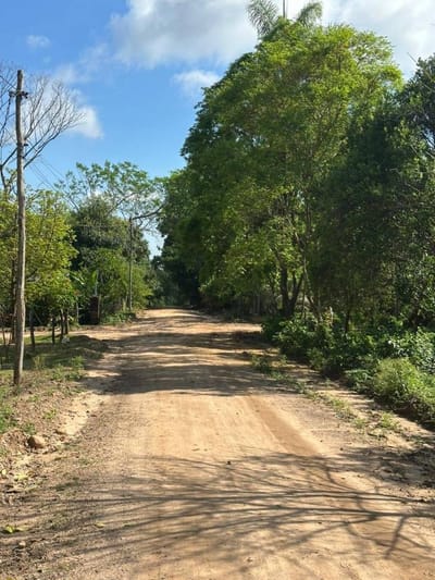 TERRENOS EN VENTA EN BUENA VISTA