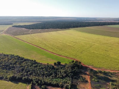 EXCELENTE CAMPO EN VENTA -CURUGUATY! – 1.001 HECTÁREAS PRODUCTIVAS ????