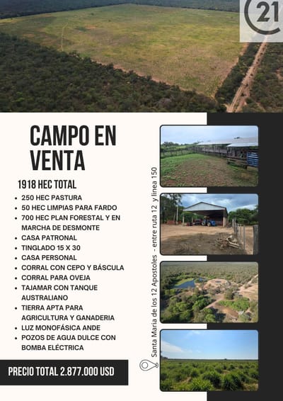 CAMPO DE 1918 HECTAREAS EN VENTA