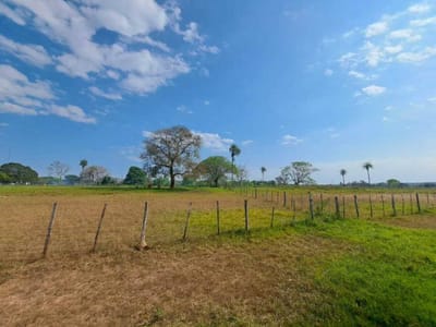 Estancia en venta con 319 ha. Concepción, Loreto